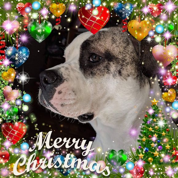 Meet your Posher, Eric - Picture 1 of 1